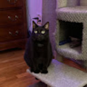 Meet your Posher, Adriana